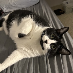 Fundraising Page: Mitsuko Miyamoto